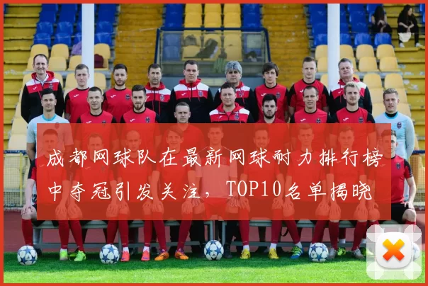 成都网球队在最新网球耐力排行榜中夺冠引发关注，TOP10名单揭晓