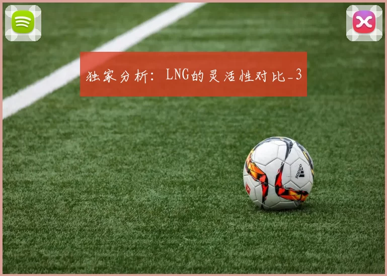 独家分析：LNG的灵活性对比_3