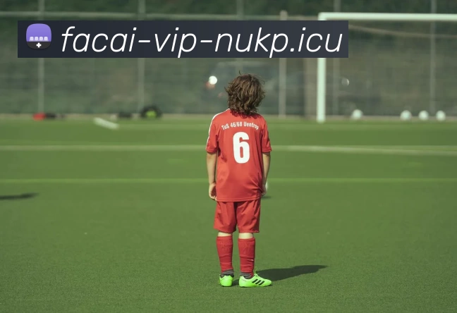 九游体育APP 封面图